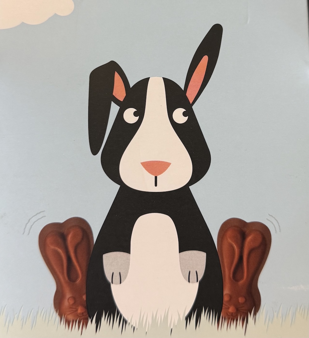 Bunny